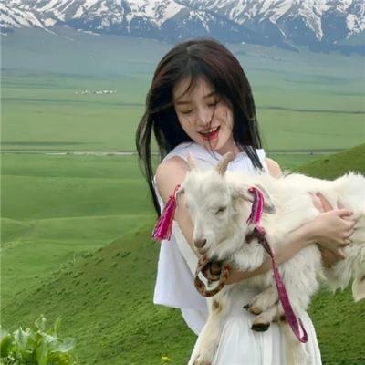 奥尔高索洛的强盗
